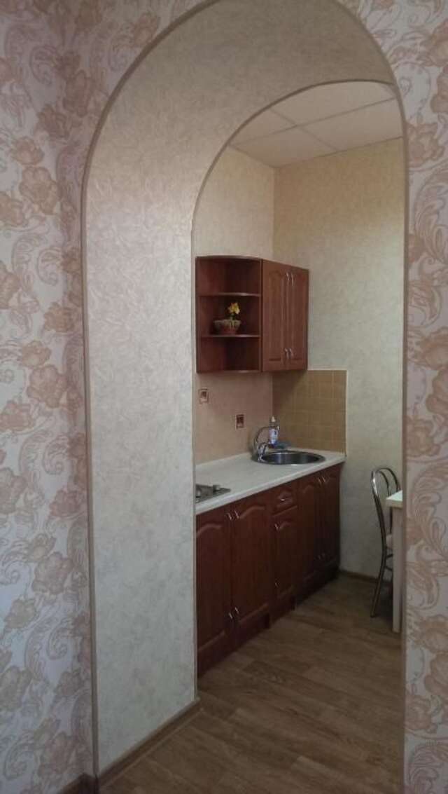 Апартаменты Apartamenty na Lopatinskom Харьков-62